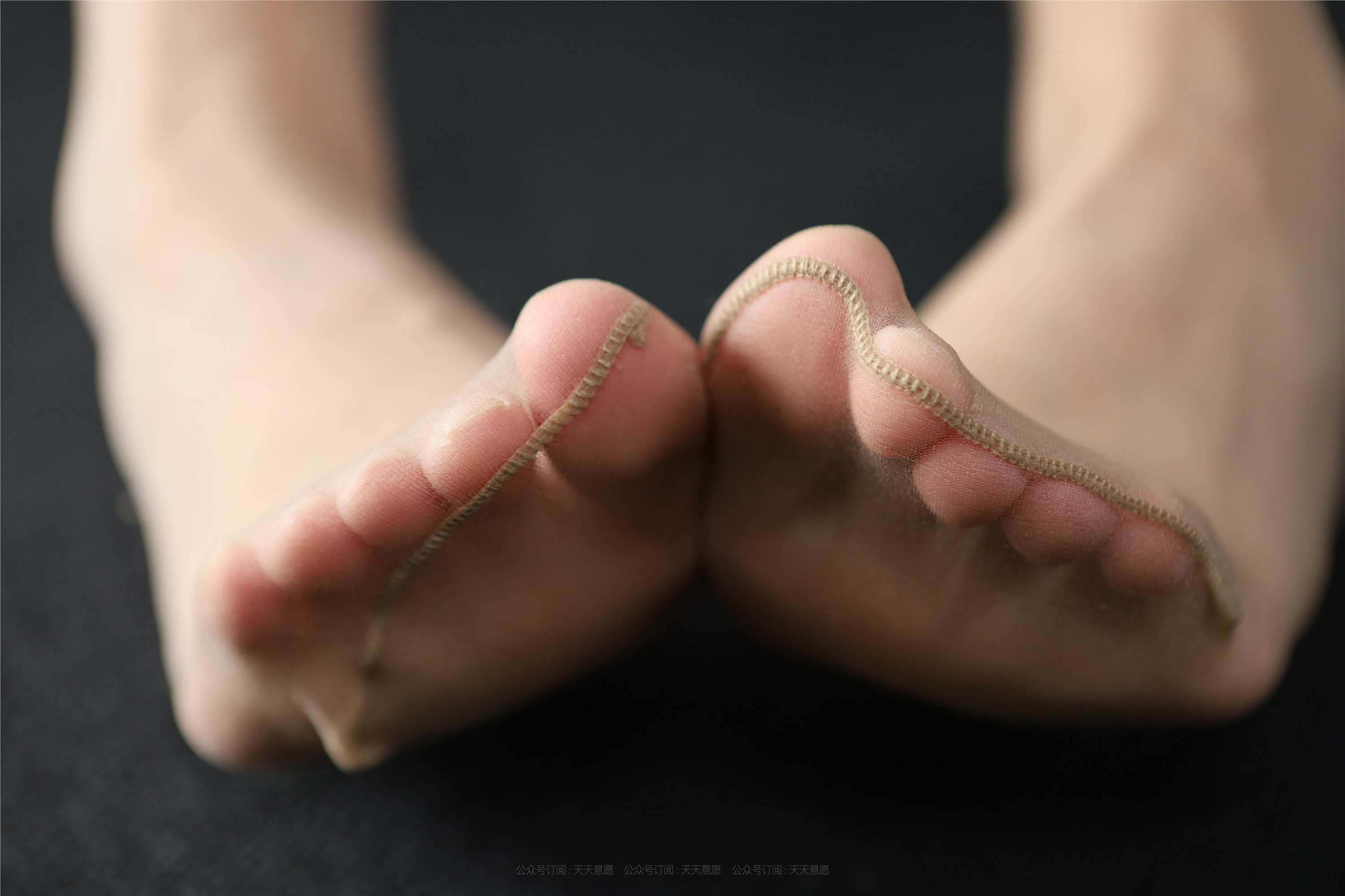 IESS异思趣向 2021.11.29 丝享家980：秋秋《诱人白玫瑰》